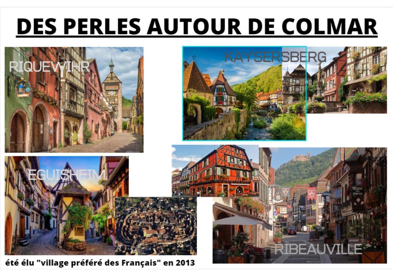 Thann Colmar - 1 Chambre - 5 Pers - Parking Екстер'єр фото